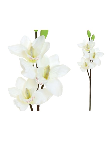 VARA CYMBIDIUM X 3 -52CM (BLANCO)