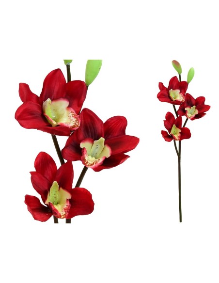 VARA CYMBIDIUM X 3 -52CM (ROJO)
