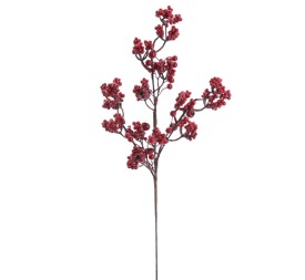 BERRY LUXURY (NAV4752-08)