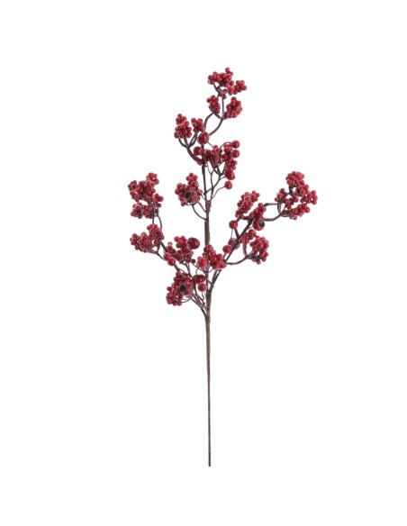 BERRY LUXURY (NAV4752-08)