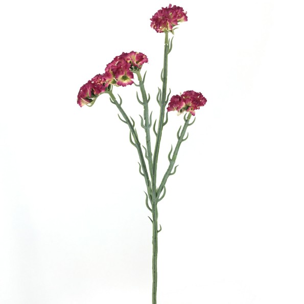 STATIS 64 CMS    2058-07