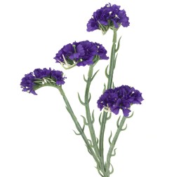 STATIS 64 CMS  2058-16