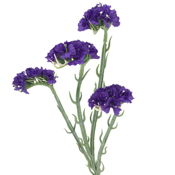 STATIS 64 CMS  2058-16