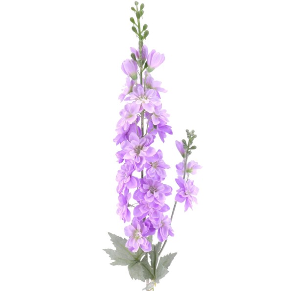 DELPHINIUM (2080-06)