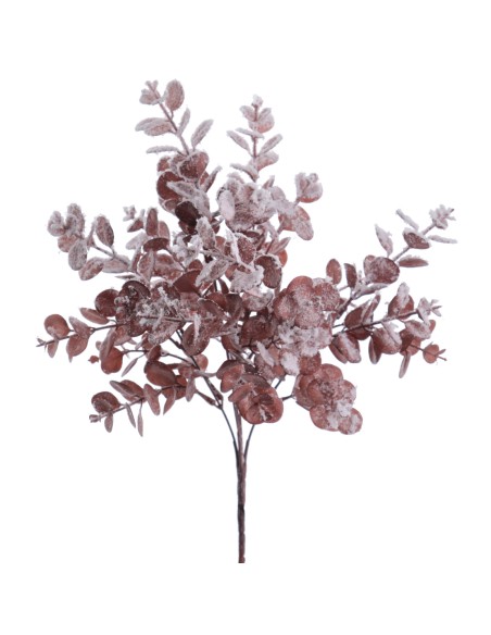 EUCALYPTUS X5 COLECCIÓN SNOW (NAV4659-05)