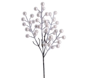 PICK BERRY (NAV4694-73)