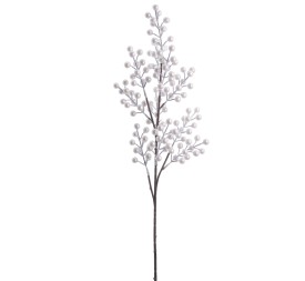 BERRY 75 CMS (NAV4700-73)