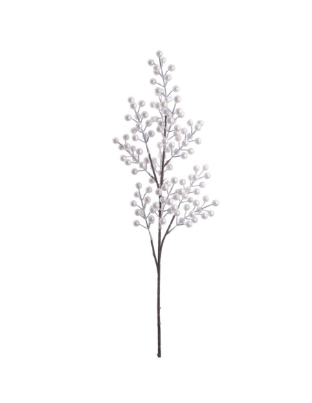 BERRY 75 CMS (NAV4700-73)