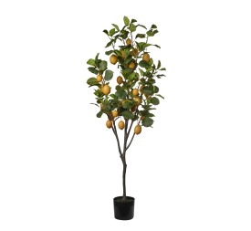 ARBOL LIMONERO 190CM