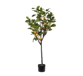 ARBOL LIMONERO150CM