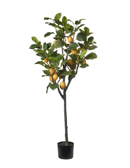 ARBOL LIMONERO150CM