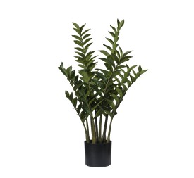 ZAMIFOGLIA X9   52*88 CM