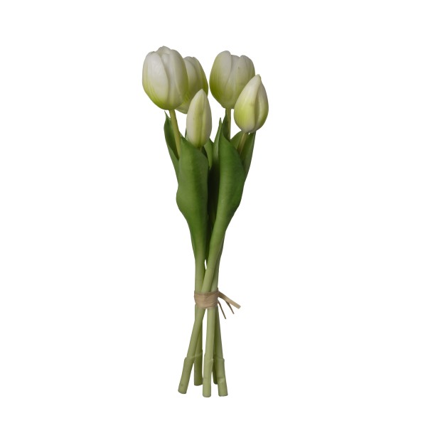 MAZO TULIPAN BLANCO X 5 CM  12*12*28