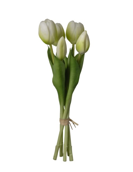 MAZO TULIPAN BLANCO X 5 CM  12*12*28