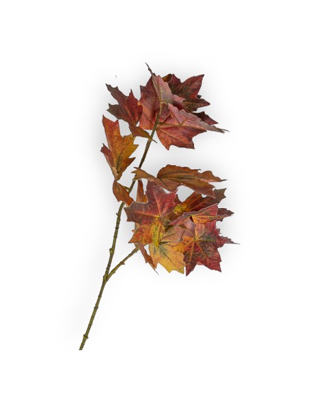 HOJAS DE ROBLE X2 MARRON  CM 77