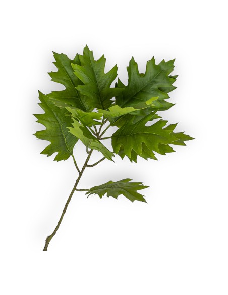  HOJA DE ROBLE VERDE  70 CM