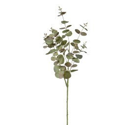VARA EUCALIPTO VERDE  27*84 CM