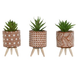 PLANTA CEMENTO PE 7,5X7,5X16,5 3 SURT.