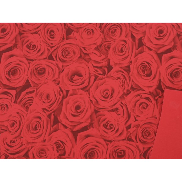 BOBINA PERLATO ROJO ROSAS ROJAS 0,7X40M