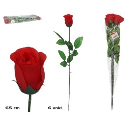 ROSA X6 AFRODITA 65CM