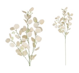 VARA EUCALIPTO X4 X40-105CM (BEIGE)