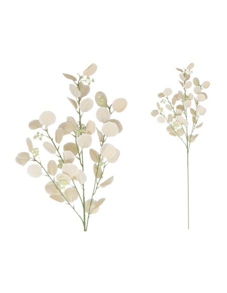 VARA EUCALIPTO X4 X40-105CM (BEIGE)