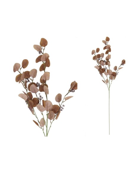 VARA EUCALIPTO X4 X40-105CM (R