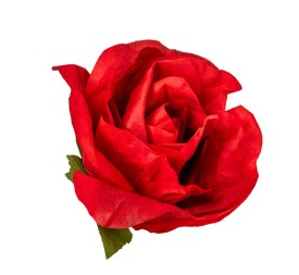 ROSA TNT IMPERMEABLE D40 ROJO