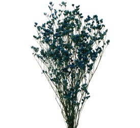 LIMONIUM PRESS 70 cms AZUL (73)