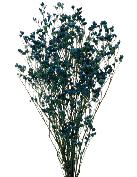 LIMONIUM PRESS 70 cms AZUL (73)