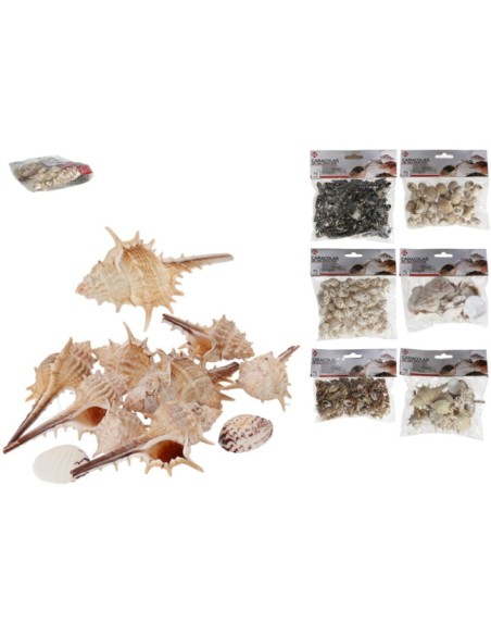 CARACOLAS DE DECORACION SURTIDAS +/-90GR CARACOLAS DE DECORACION SURTIDAS +/-90GR