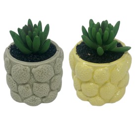 PLANTA RESINA PE 8.5X8.5X10.5 LIMONES 2 SURT.