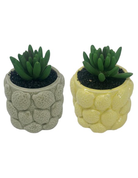 PLANTA RESINA PE 8.5X8.5X10.5 LIMONES 2 SURT. PLANTA RESINA PE 8.5X8.5X10.5 LIMONES 2 SURT.