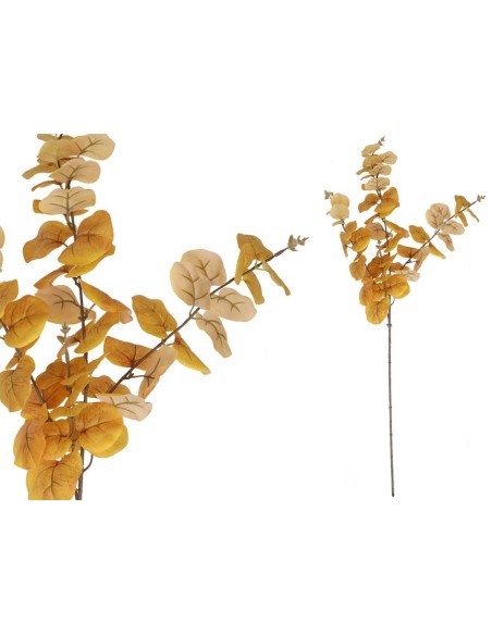 VARA EUCALIPTO 58 LVS R/T 80 CM (MARRON)