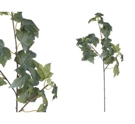 VARA HOJA PARRA X 20 -78 CM (VERDE/C)
