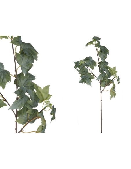 VARA HOJA PARRA X 20 -78 CM (VERDE/C)