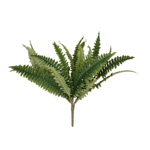 RAMO BOSTON FERN X 18 - 46 CM