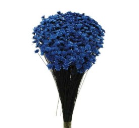 GLIXIA 50 cms. AZUL (73)