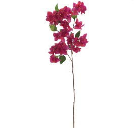 BOUGANVILLEA (6254-07)