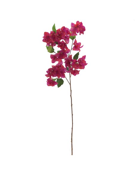 BOUGANVILLEA (6254-07)