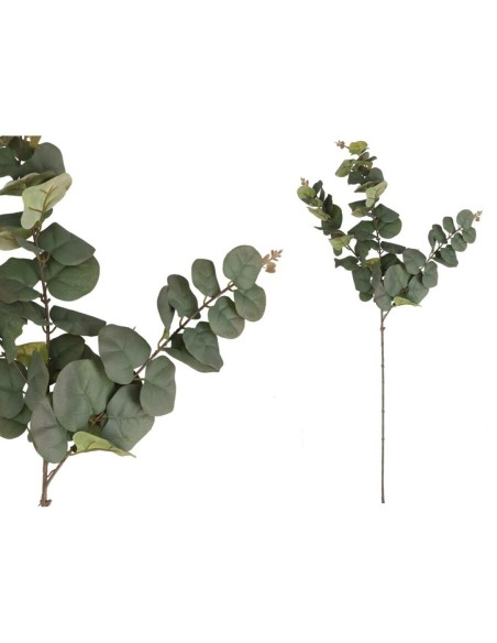 VARA EUCALIPTO 58 LVS  80CM (VERDE/R)