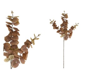VARA EUCALIPTO 58 LVS  80 CM (MARRON)