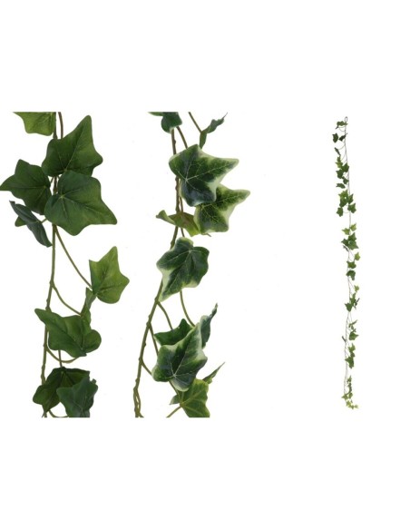 GUIRNALDA HIEDRA X 59 - 175 CM (S)