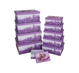 SET 10 CAJAS LAVANDA 37,5X29X16 CM