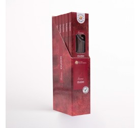 PACK 6 MEJORES INC. OUDH