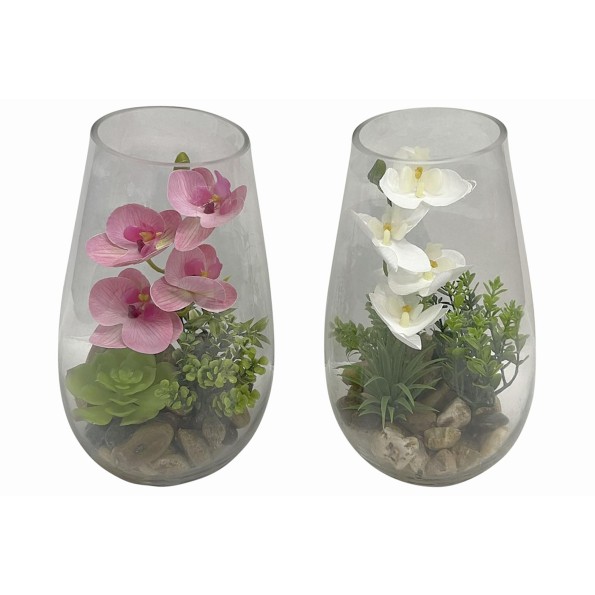 PLANTA PVC CRISTAL 15X15X25 ORQUIDEA 2 SURT.