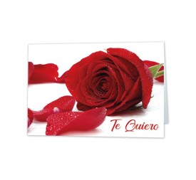 *MINI CARD ROSA TE QUIERRO ROSA