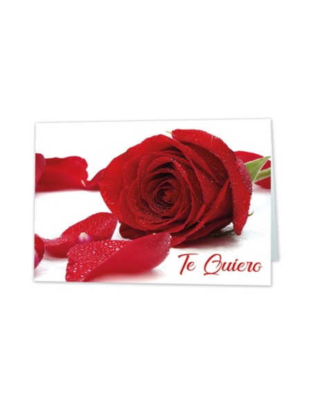 *MINI CARD ROSA TE QUIERRO ROSA