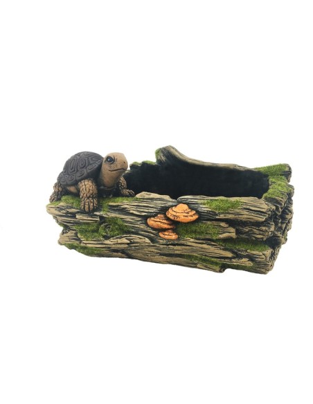 MACETERO TRONCO TORTUGA L