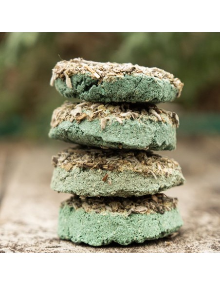 PASTILLA DEFUMACION ACTIVADA DE SALVIA